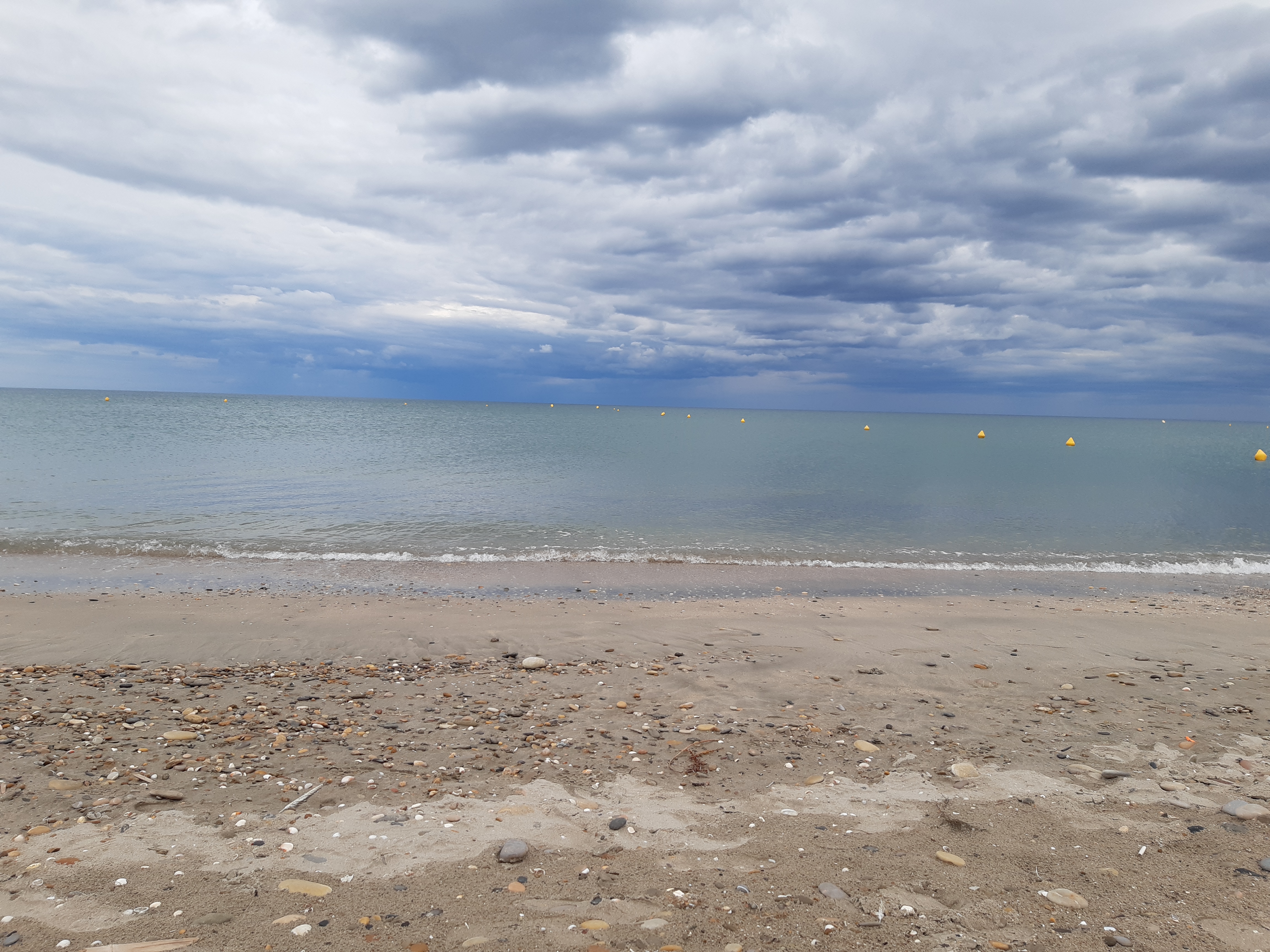 Opinions, lectures, terrains